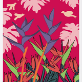 Cuadro plantas