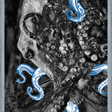Cuadro pulpo