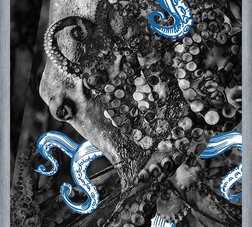 Cuadro pulpo