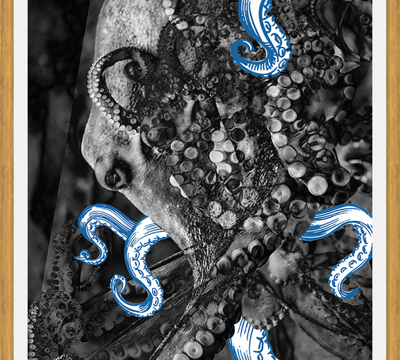 Cuadro pulpo