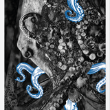 Cuadro pulpo