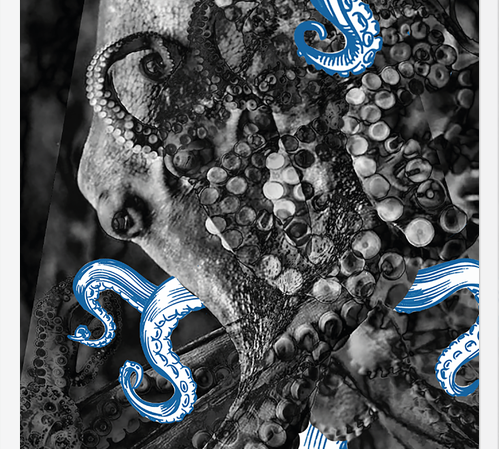 Cuadro pulpo