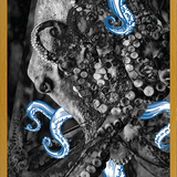 Cuadro pulpo