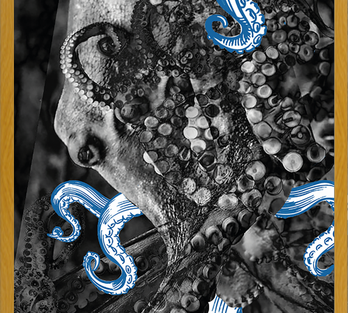 Cuadro pulpo