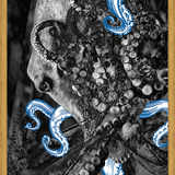 Cuadro pulpo