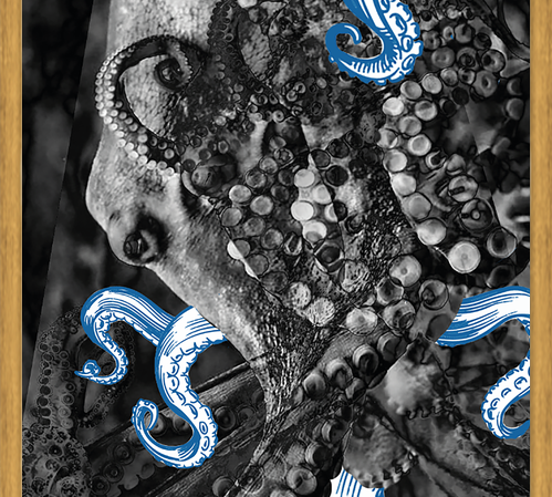 Cuadro pulpo