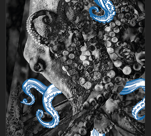 Cuadro pulpo