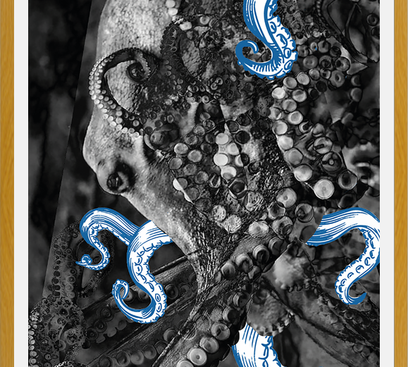 Cuadro pulpo