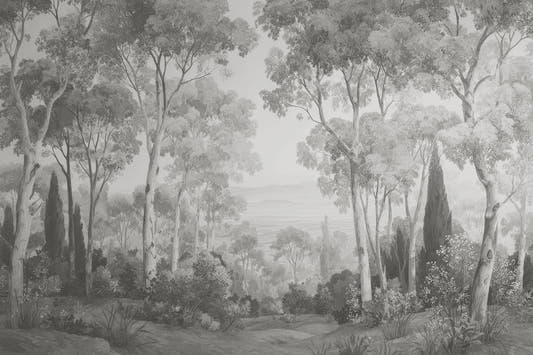 Papel Mural Dosel I Blanco y Negro
