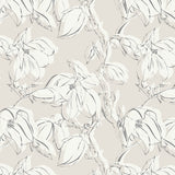 Papel Mural Magnolias in bloom