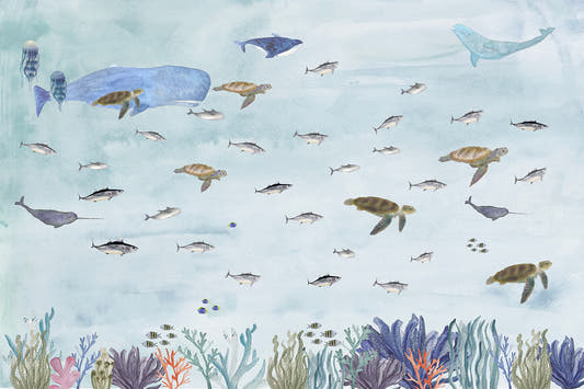Papel Mural Tortugas