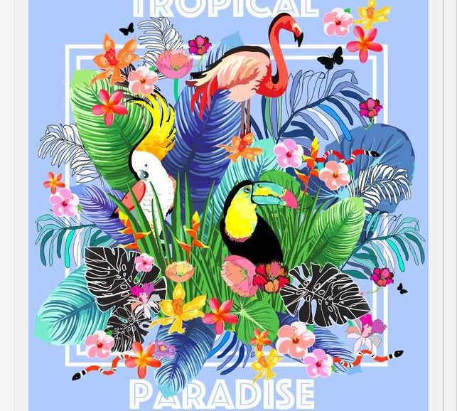 Cuadro Tropical Paradise
