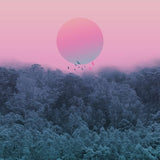 Canvas Landscape & gradients IV