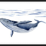 Cuadro Ballena