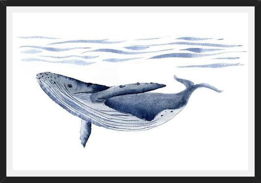 Cuadro Ballena