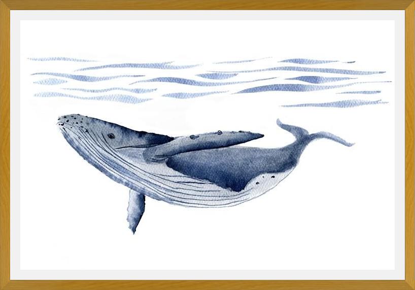 Cuadro Ballena