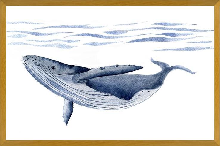 Cuadro Ballena