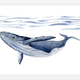 Cuadro Ballena