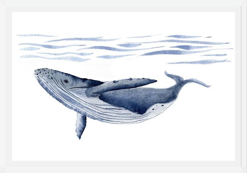 Cuadro Ballena