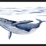 Cuadro Ballena