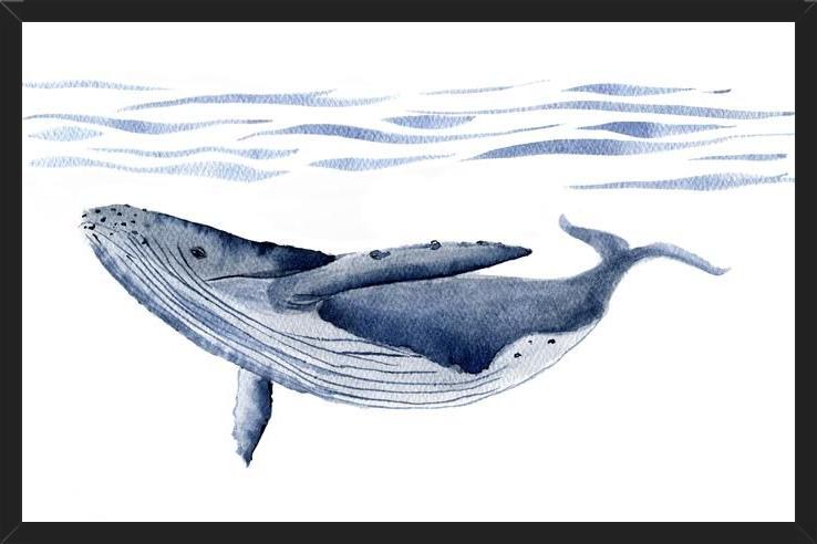 Cuadro Ballena