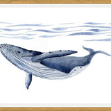 Cuadro Ballena