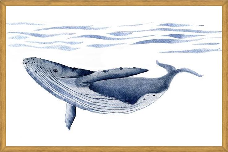 Cuadro Ballena