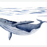 Cuadro Ballena