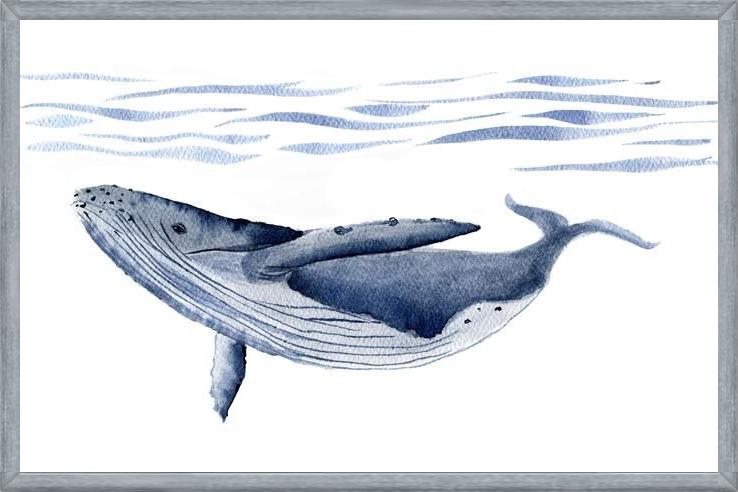 Cuadro Ballena