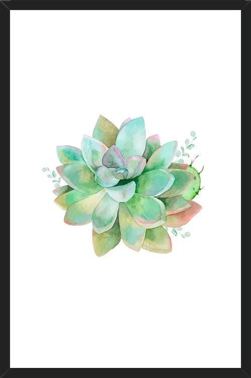 Cuadro Watercolor Green Succulent