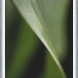Cuadro Hoja - Abstracto