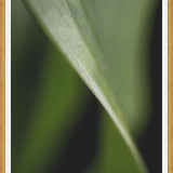 Cuadro Hoja - Abstracto