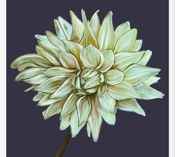 Cuadro Dahlia