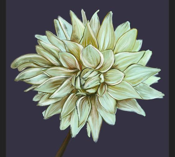 Cuadro Dahlia