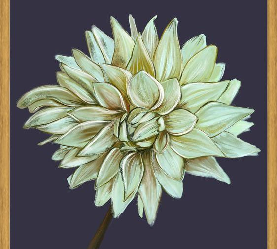 Cuadro Dahlia