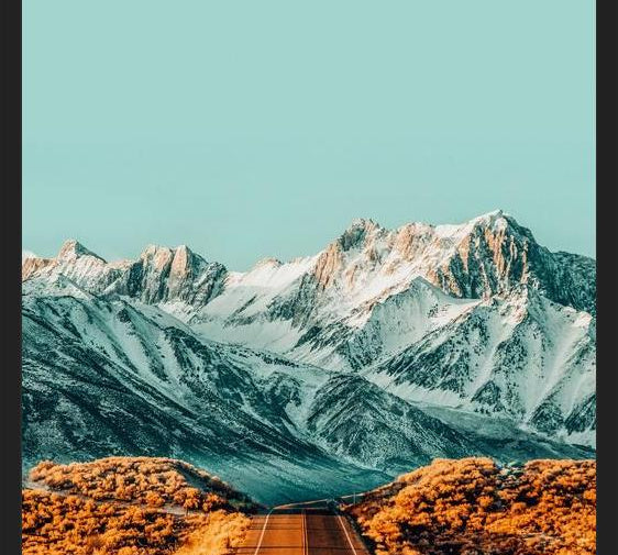 Cuadro The Road Less Traveled