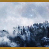 Cuadro las estrellas brillan en el bosque niebloso