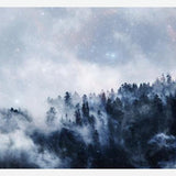 Cuadro las estrellas brillan en el bosque niebloso