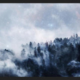 Cuadro las estrellas brillan en el bosque niebloso