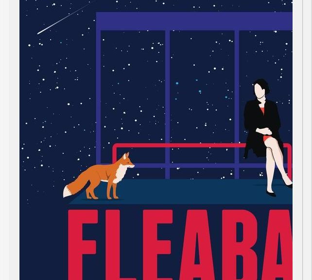 Cuadro Fleabag