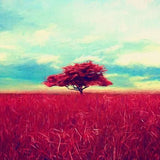 Canvas Red Tree