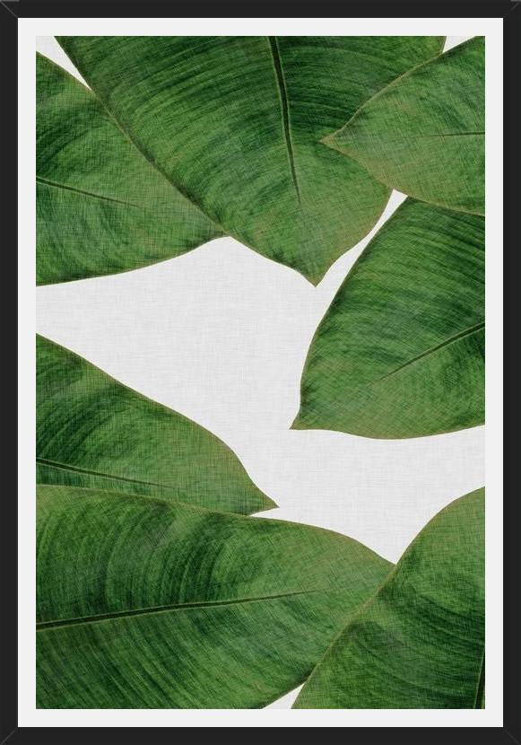 Cuadro Banana Leaf II