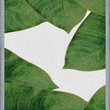 Cuadro Banana Leaf II