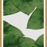 Cuadro Banana Leaf II