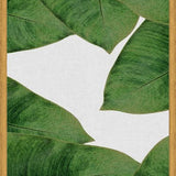 Cuadro Banana Leaf II