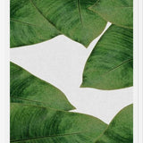 Cuadro Banana Leaf II