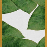Cuadro Banana Leaf II