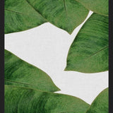 Cuadro Banana Leaf II