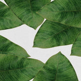 Canvas Banana Leaf II