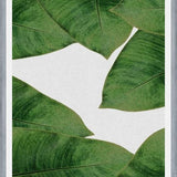 Cuadro Banana Leaf II